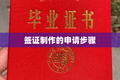 凤冈签证制作的申请步骤