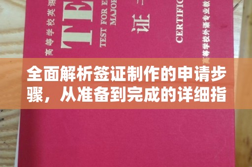 凤冈全面解析签证制作的申请步骤，从准备到完成的详细指南